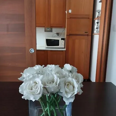 V&g Vicenza